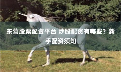 东营股票配资平台 炒股配资有哪些？新手配资须知